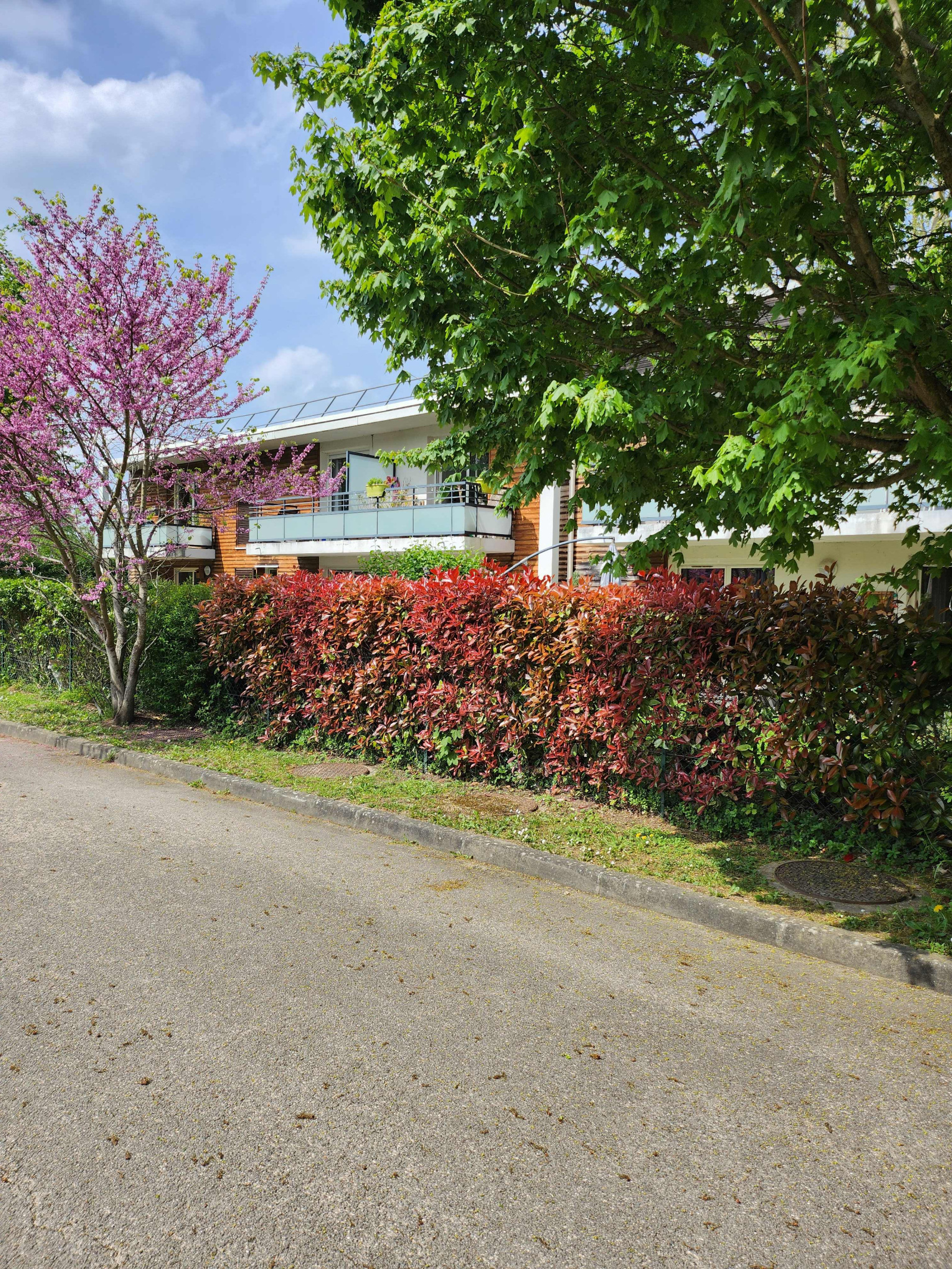 Image_1, Appartement, Gif-sur-Yvette, ref :315