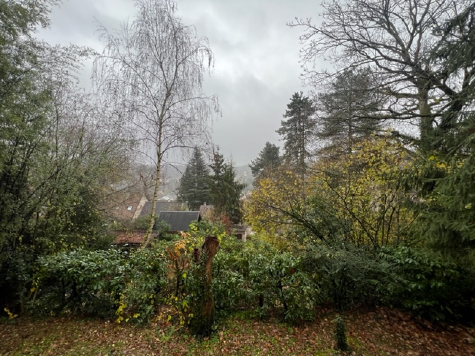 Image_8, Studio, Bures-sur-Yvette, ref :903